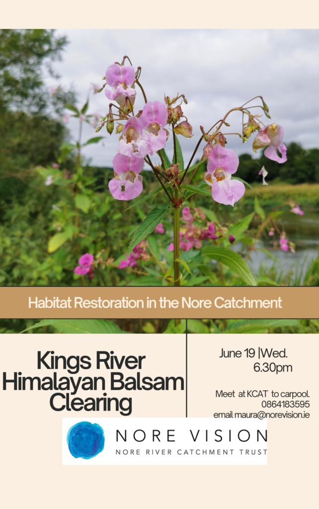 Habitat Restoration in the Nore Catchment
